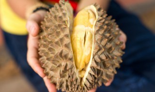 喝酒后多长时间能吃榴莲（喝酒后多长时间可以吃榴莲???）