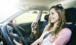 小车可以托运吗（小汽车能托运吗）-九图集