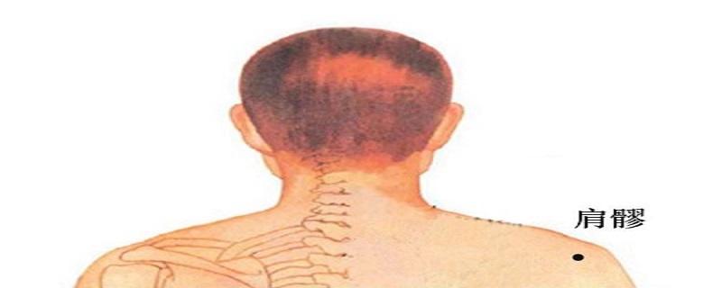 肩髎的准确位置图(肩髎的准确位置图和作用的准确位置)-九图集