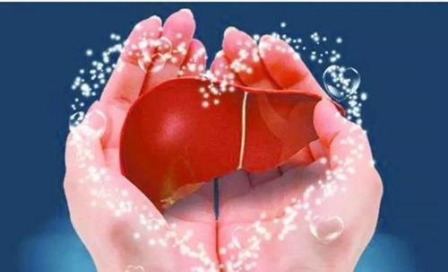 养肝护肝的方法 女性养肝护肝的方法-九图集
