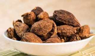 草果泡水的功效与作用(草果功效和作用)