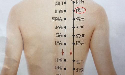 魄户的准确位置图片 魄户的准确位置图片和作用-九图集