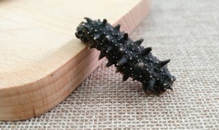 即食海参常温可以放置多长时间 即食海参常温可以放置多长时间吃