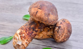 吃姬松茸有什么好处（姬松茸怎样吃才能发挥最大功效）