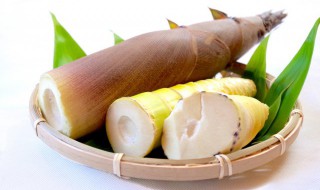 冬笋跟春笋的区别 冬笋与春笋的区别在哪-九图集