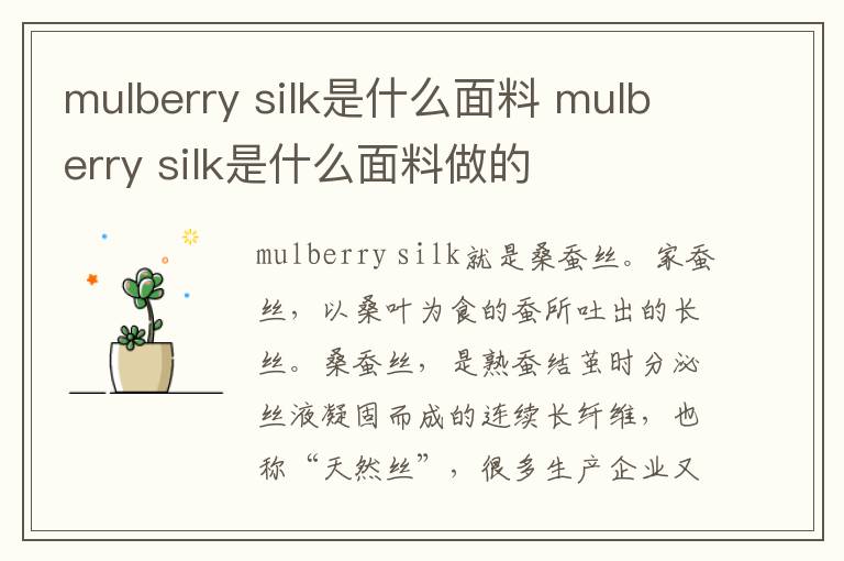 mulberry silk是什么面料 mulberry silk是什么面料做的-九图集