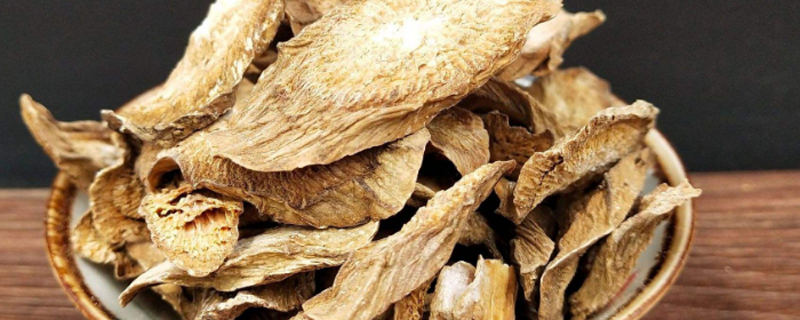 牛蒡根对肝有什么好处 肝不好吃牛蒡根-九图集
