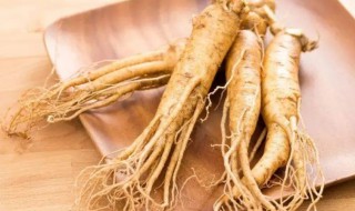 人参的营养价值（人参的营养价值高吗）-九图集