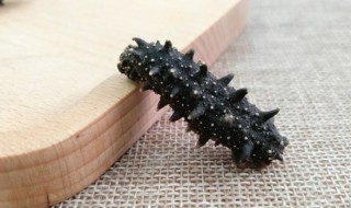 如何彻底清洗海参(海参怎么清洗的)