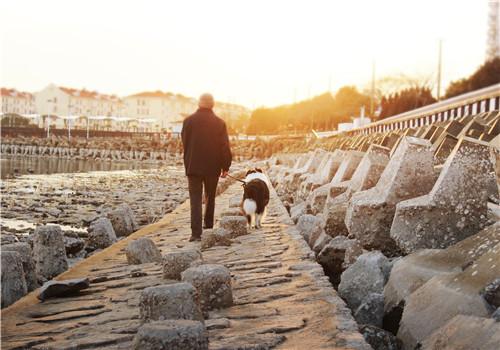老人该如何护牙 老人该如何护牙和补牙