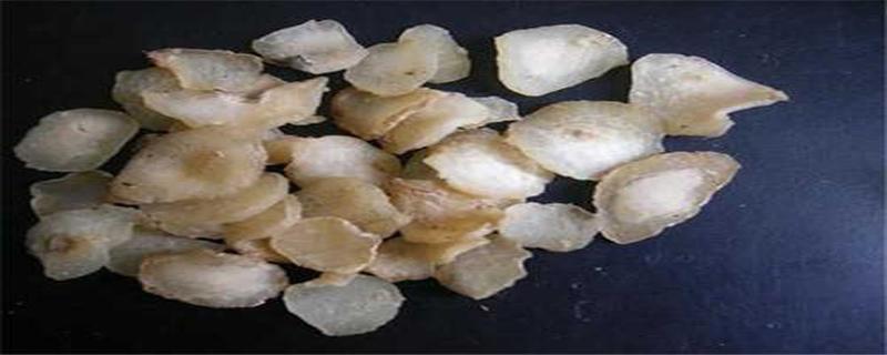 姜半夏对肝脏有影响吗（姜半夏对肾脏有没有）