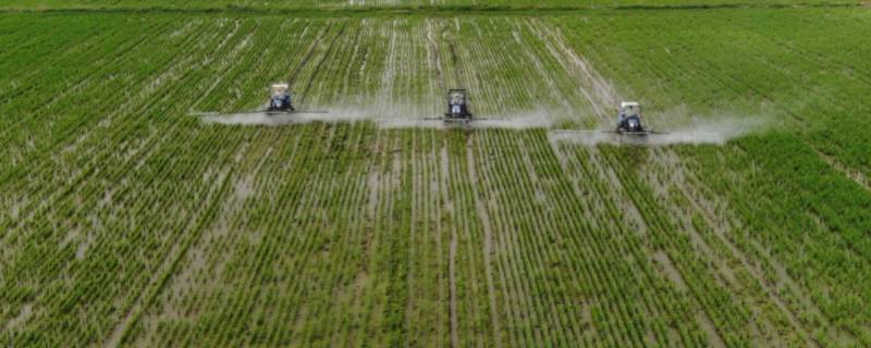 夏季的农事活动有哪些 夏季的农事活动有哪些南方