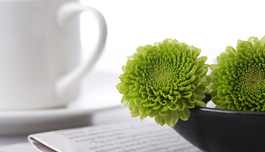 床头竟不能放绿色植物,揭秘五种不宜放床头的物品