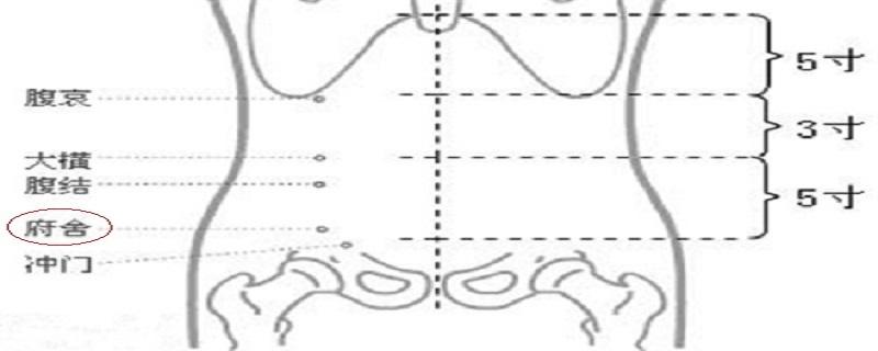 府舍准确位置图 府舍准确位置图和功效