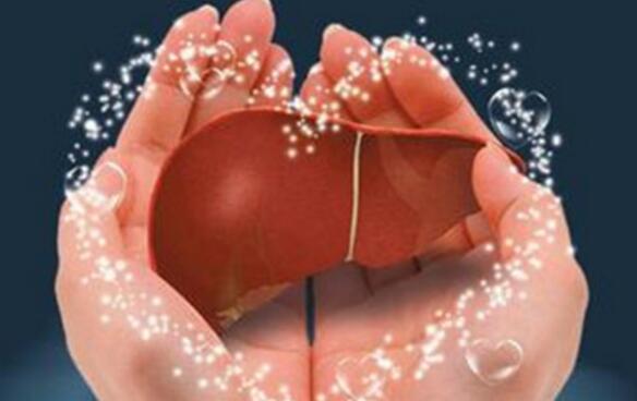 养肝护肝的方法(女性养肝护肝的方法)-九图集