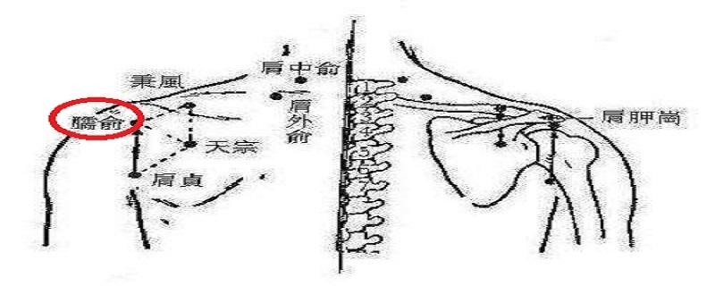 臑俞准确位置图(臑俞准确位置图片及作用)-九图集