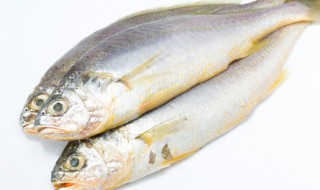 人工养殖的鱼能吃吗（人工喂养的鱼能经常吃吗）-九图集