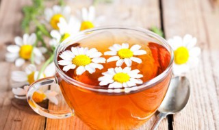 牛蒡茶和菊花一起喝吗吗 牛蒡和菊花能一起泡茶喝吗