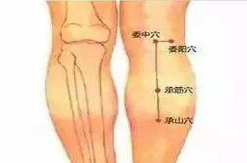 承筋准确位置图和作用 承筋的位置与作用