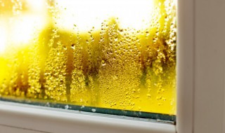 加湿器里加自来水对人体有危害吗 加湿器里面加自来水对人体有害吗