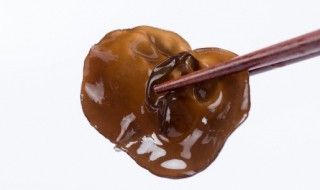 木耳用冷水泡多长时间（木耳用冷水泡多长时间最好）-九图集