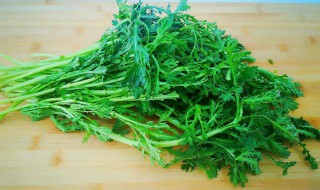 茼蒿发苦怎么回事（茼蒿很苦怎么回事）-九图集