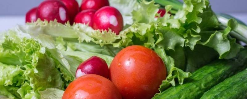 冬天蔬菜有哪些 冬天蔬菜有哪些种类图片