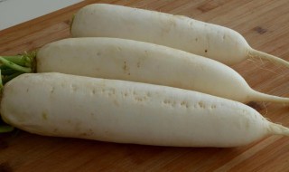 孕妇可以吃白萝卜吗早期(早期孕妇能吃白萝卜吗)