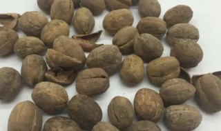 巴豆的营养价值 巴豆的药用价值与功效-九图集