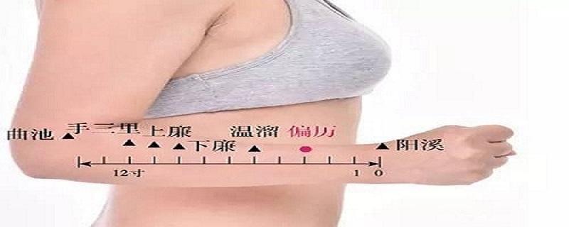 偏历的准确位置图图解 偏历定位方法