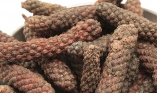 荜茇的营养价值（蝤蠓的营养价值）-九图集