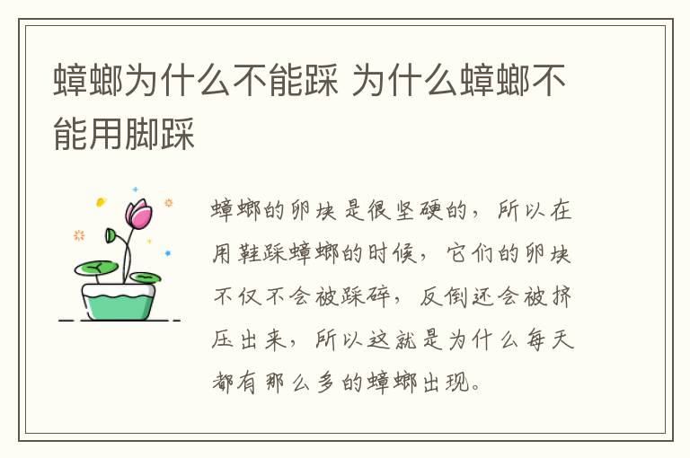 蟑螂为什么不能踩 为什么蟑螂不能用脚踩-九图集