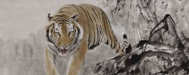 虎月是几月份(虎月是几月份 2021)-九图集