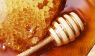 蜂蜜敷脸会不会长痘痘(蜂蜜能去痘痘吗蜂蜜可以直接敷脸吗)-九图集