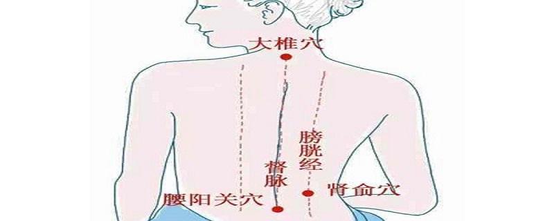 大椎的准确位置图视频（大椎的准确位置图的准确位置图片）-九图集
