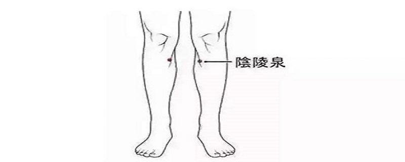按摩阴陵泉的作用 按摩阳陵泉的作用-九图集