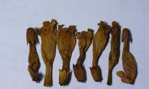 活血调经的中药有哪些 中药活血调经的药有哪些-九图集