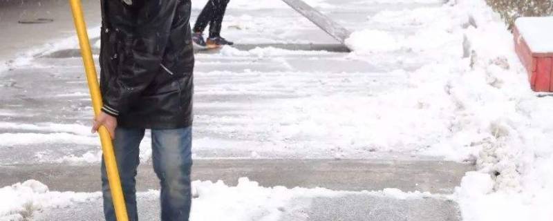 校园快速除雪的方法（校园除雪过程）-九图集