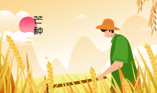 芒种节气调神养生（芒种节气养生保健）