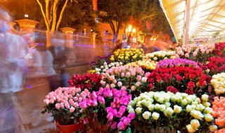 秋季有哪些盆栽花卉 秋季适合种植的盆栽有哪些