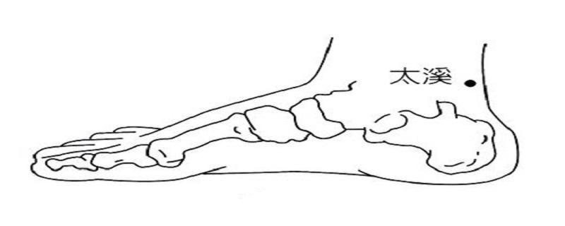 太溪怎么找最简单 太溪怎么找最简单的方法