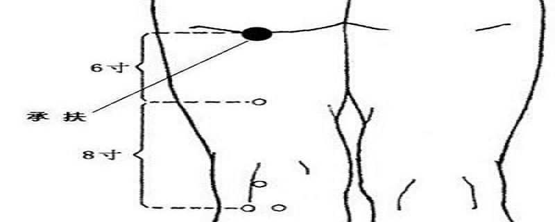 承扶的作用与好处（帮扶的好处）