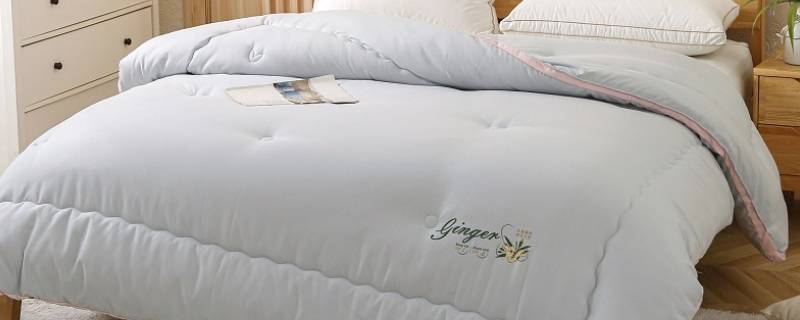 生姜被子是什么(生姜被子是什么做的)