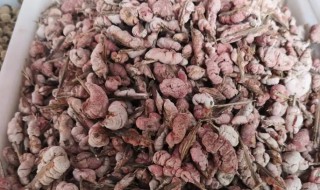 天竺黄的营养价值（天竺黄的作用有哪些）