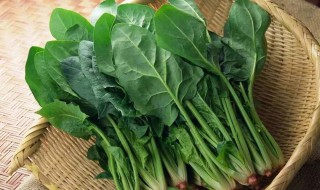 菠菜是凉性还是热性(小白菜是凉性还是热性)-九图集