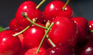 吃车厘子不小心把核吞了会中毒吗 不小心吞了一颗车厘子核有毒吗-九图集