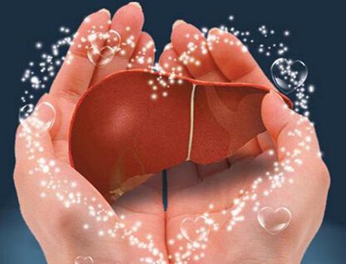 如何养护肝脏 如何养护肝脏功能-九图集