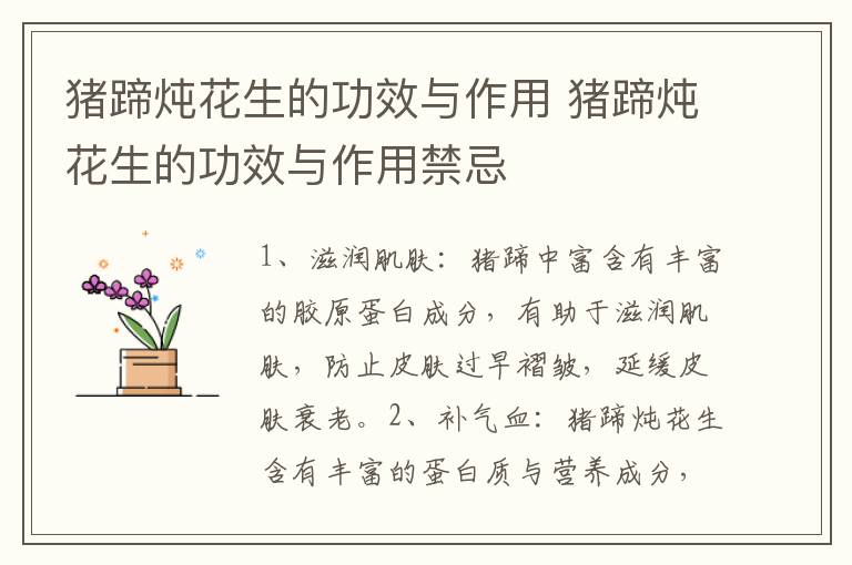 猪蹄炖花生的功效与作用 猪蹄炖花生的功效与作用禁忌