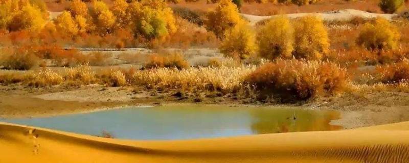 塔里木盆地的面积（塔里木盆地的面积约为530000）