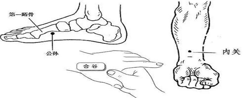 公孙的位置图和作用(公孙准确位置图和作用一)